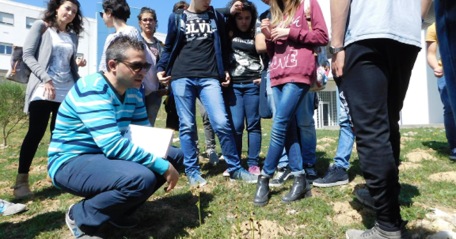 Gli studenti di Bovino a lezione di orchidee spontanee