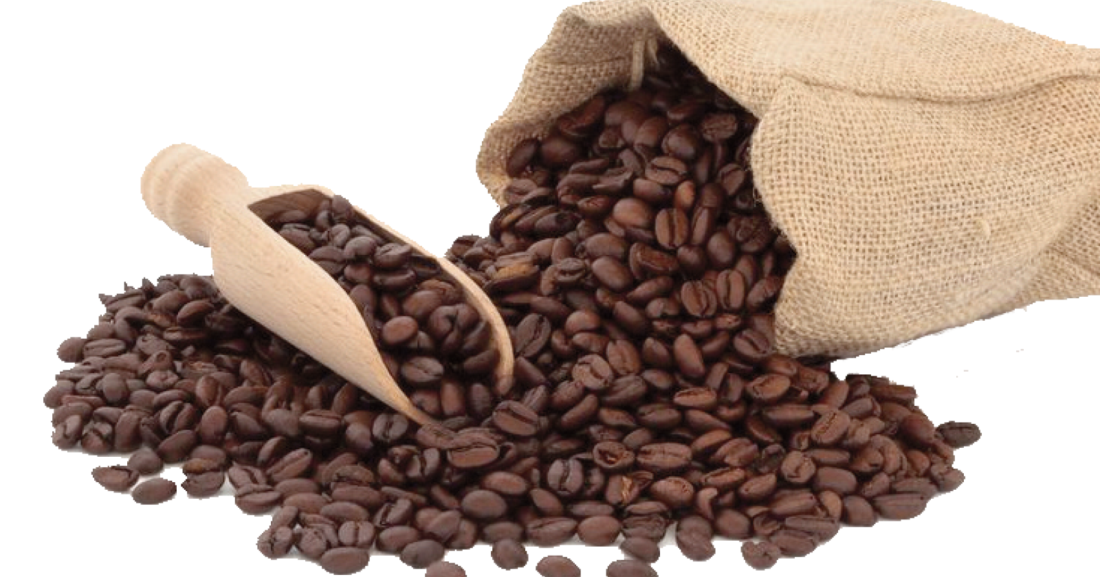 Il Caffè, buono anche per il fegato