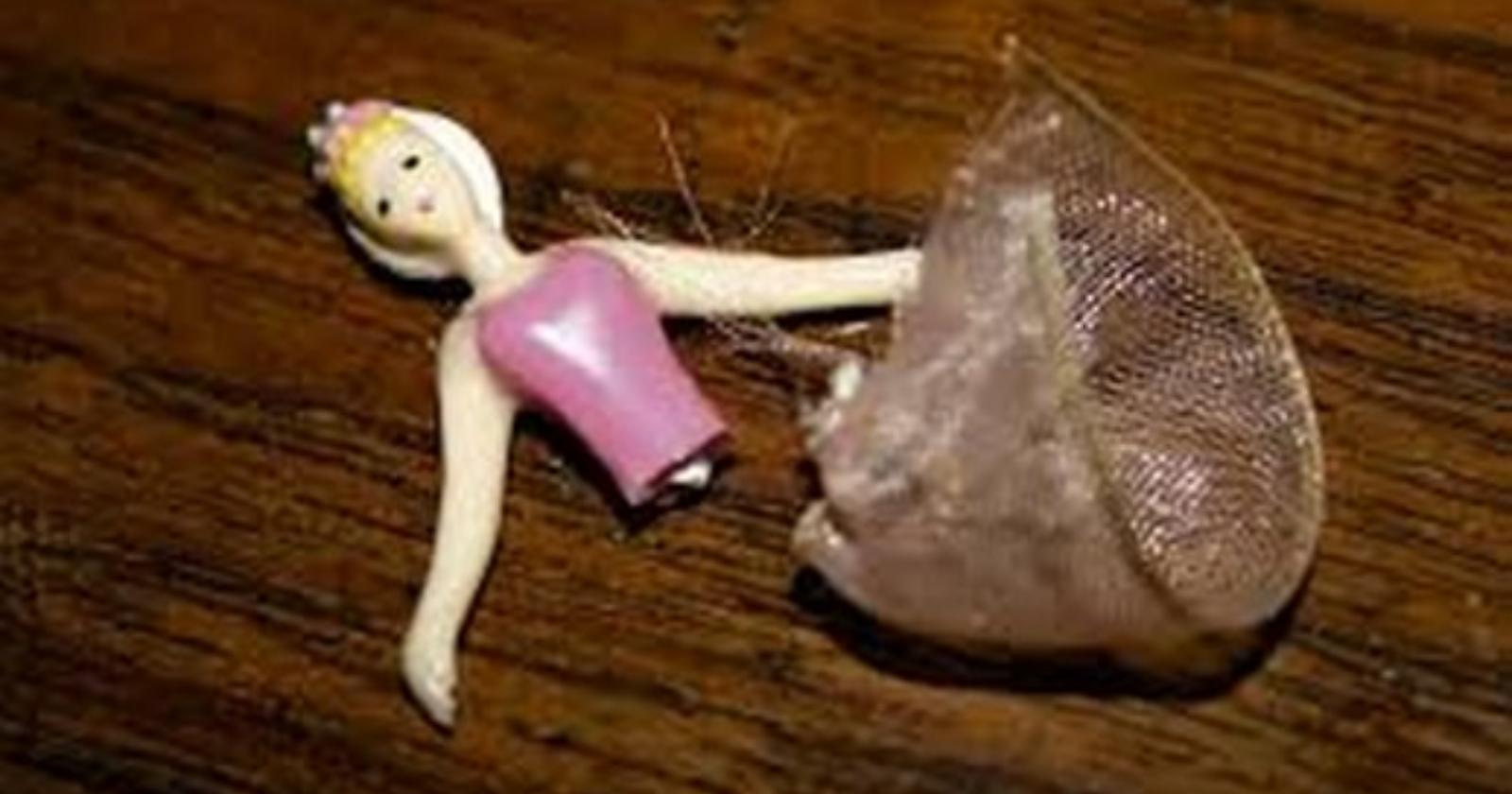 Dove, quando nasci, speri non sia femmina