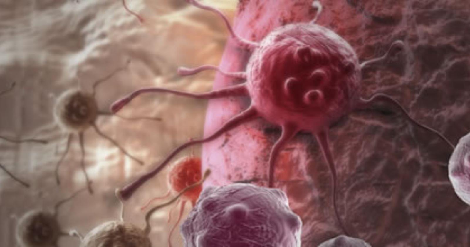 A Cerignola si discute di "Scienza e fede"