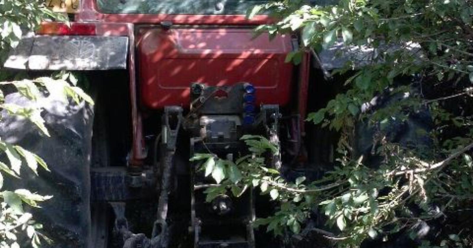 Agricoltura, la Basilicata traina il Mezzogiorno