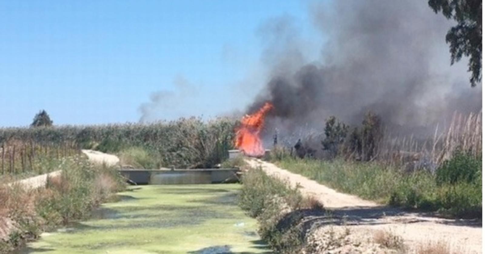 Incendio "Riservetta", Presidente  Pecorella: «Alla stupidità dell’uomo non si può porre ostacolo»