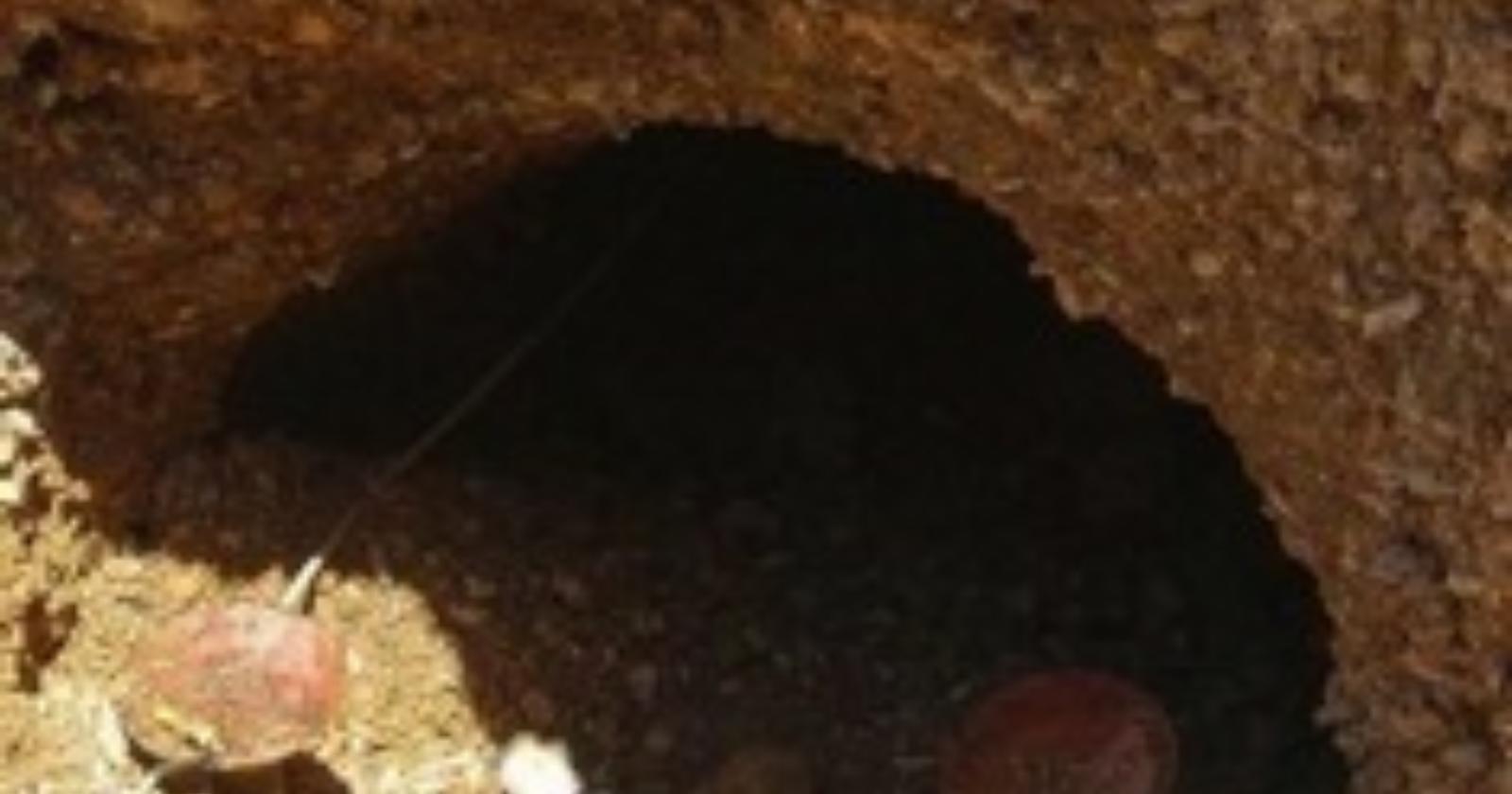 Corso Cairoli, si apre voragine: scoperto un tunnel che portava dritto alla banca