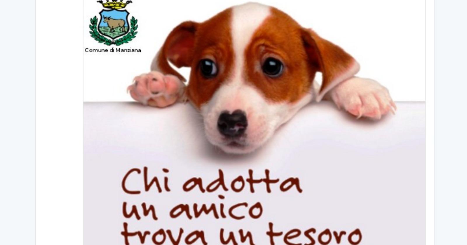 Adotta un amico a quattro zampe e paghi meno tasse: succede nel Comune laziale di Manziana