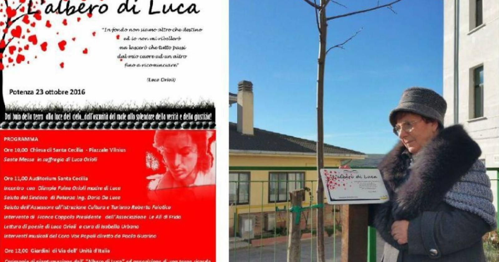 Potenza: si pianterà l'albero di Luca 