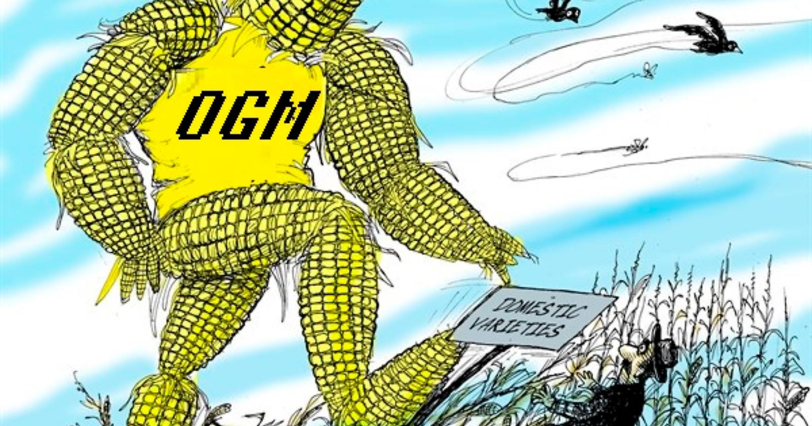 OGM, quante ombre per la salute