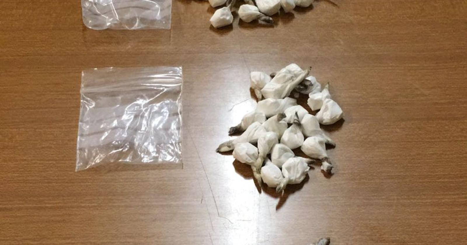 Sorpreso in strada con 20 dosi cocaina: ai domiciliari 21enne