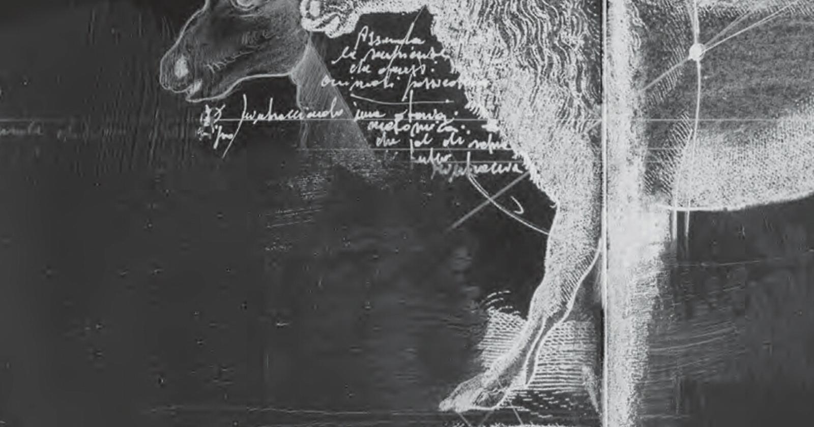 "Is a question of time": a Potenza la mostra di Cotognini