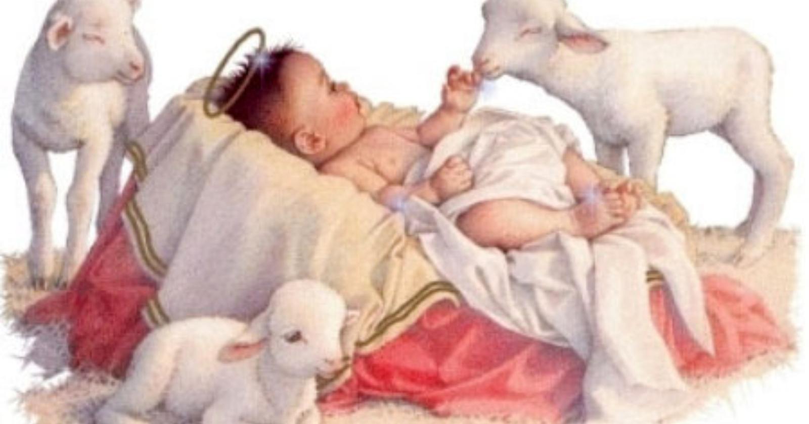 Che sia Natale per tutti