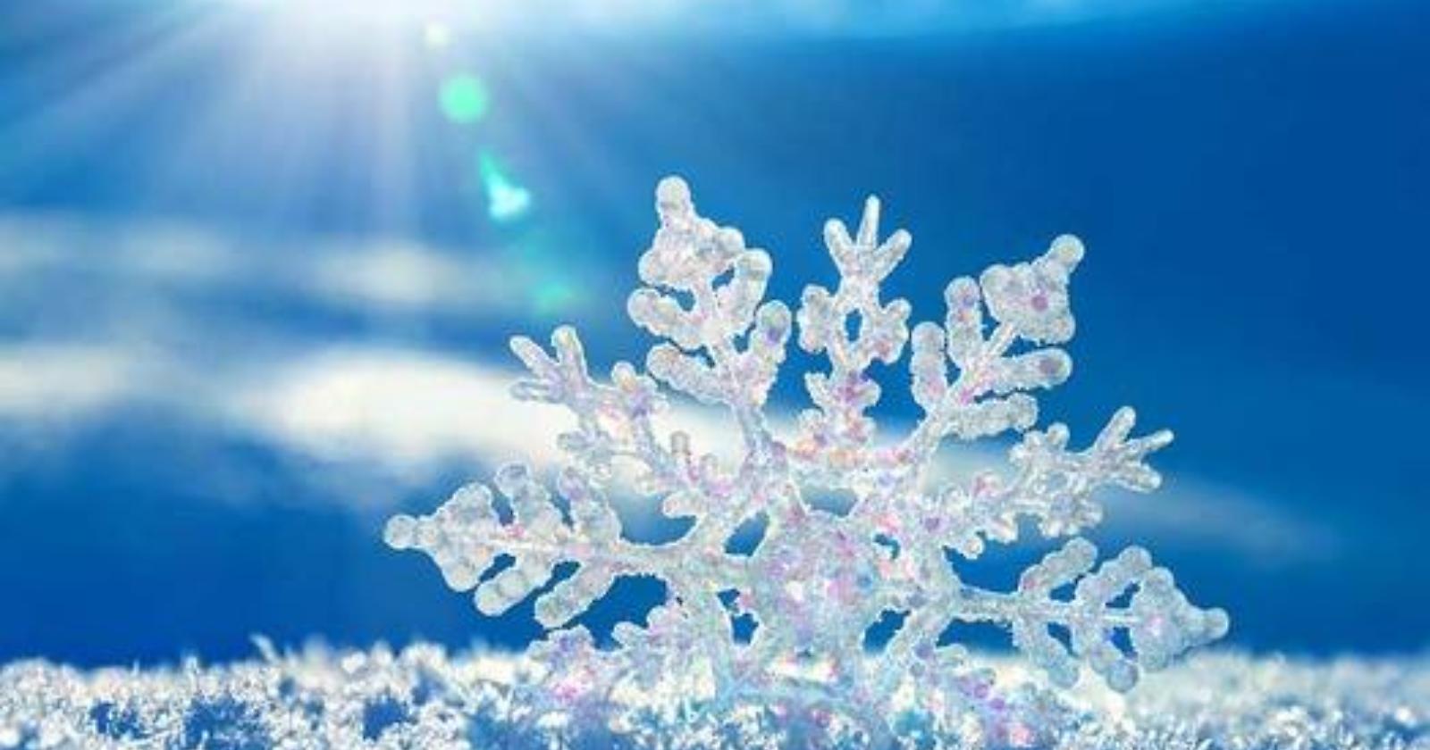 Calore nella neve