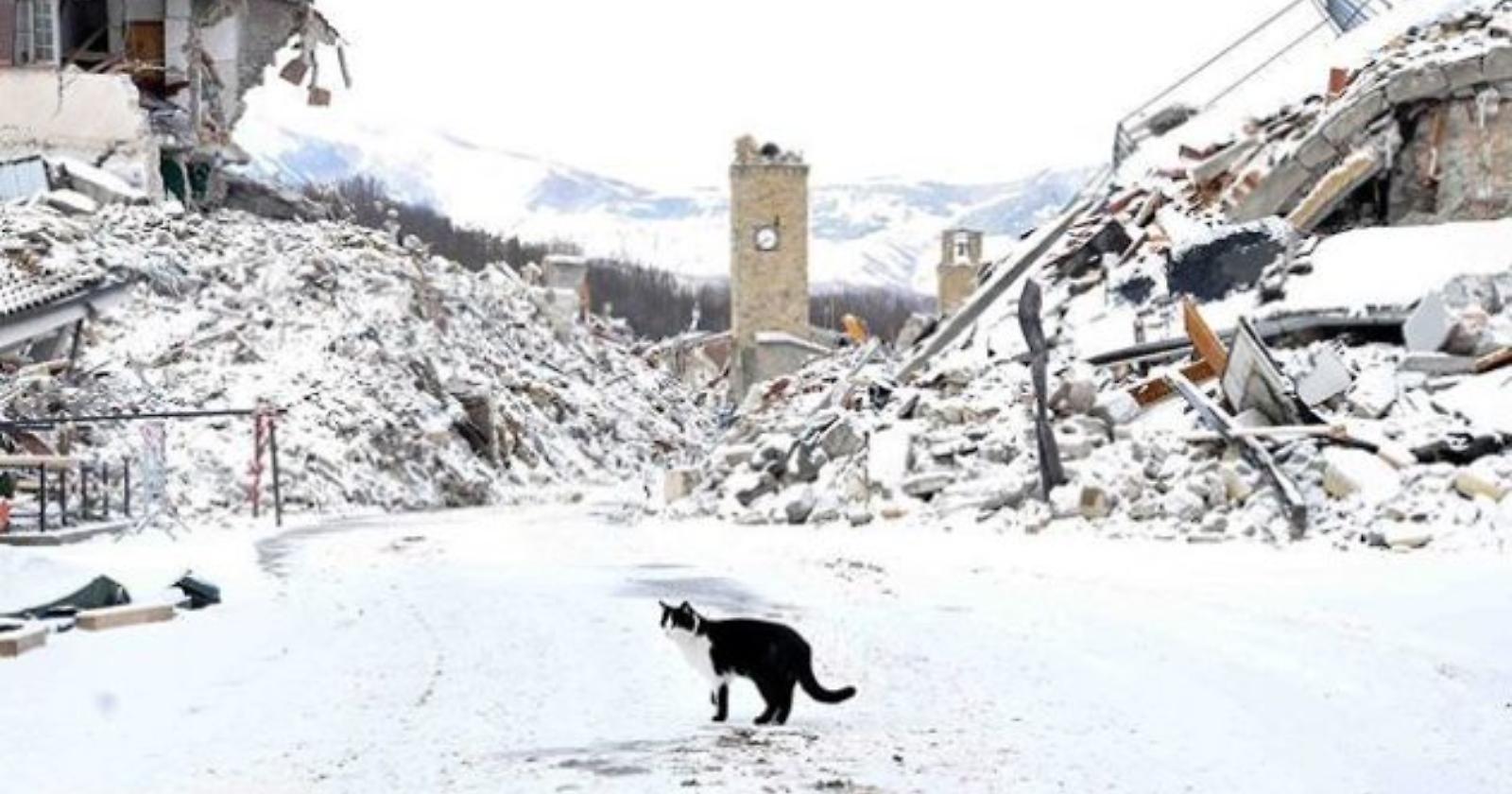Il terremoto, tra pancia e testa