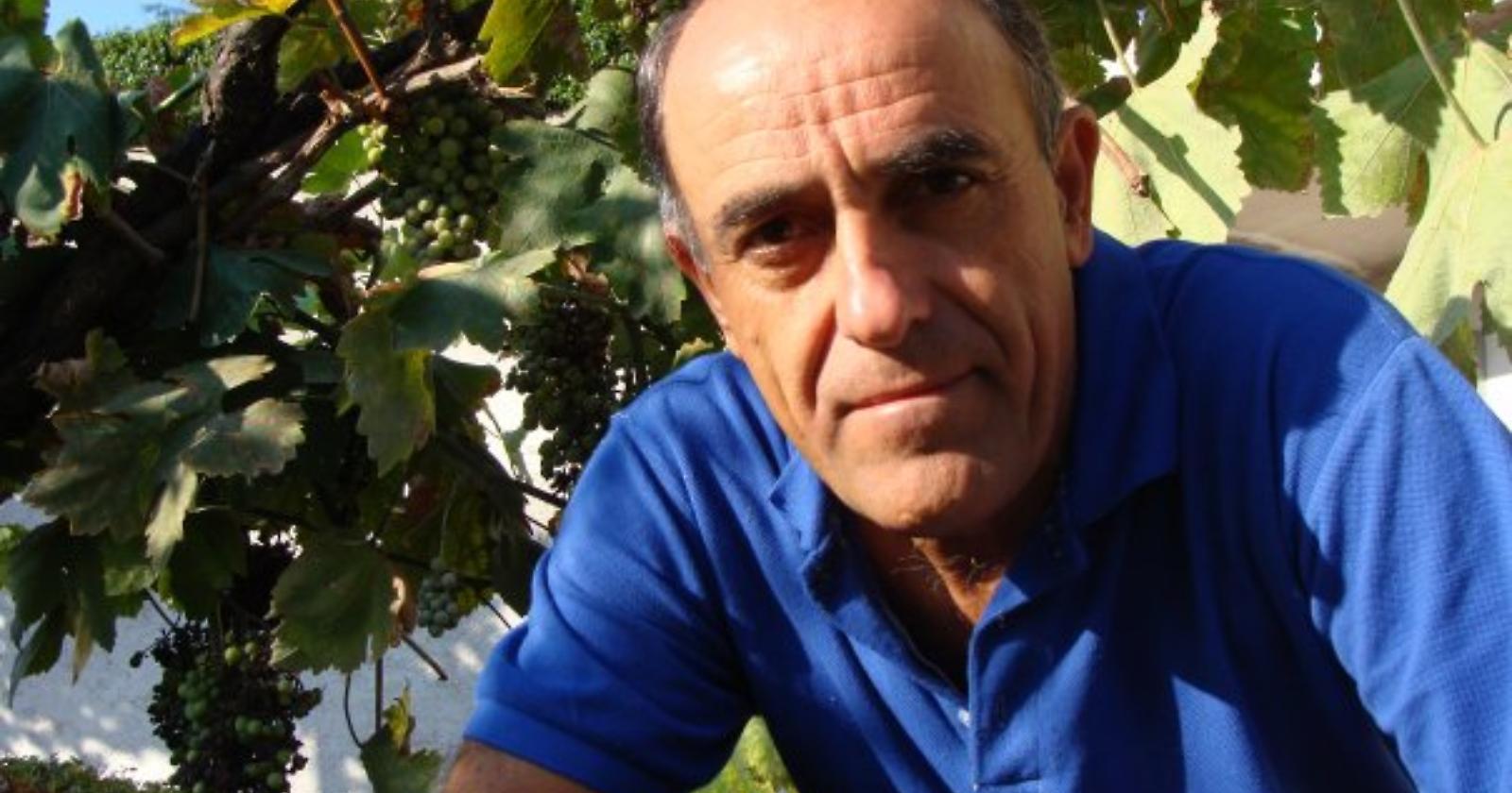 michele grieco