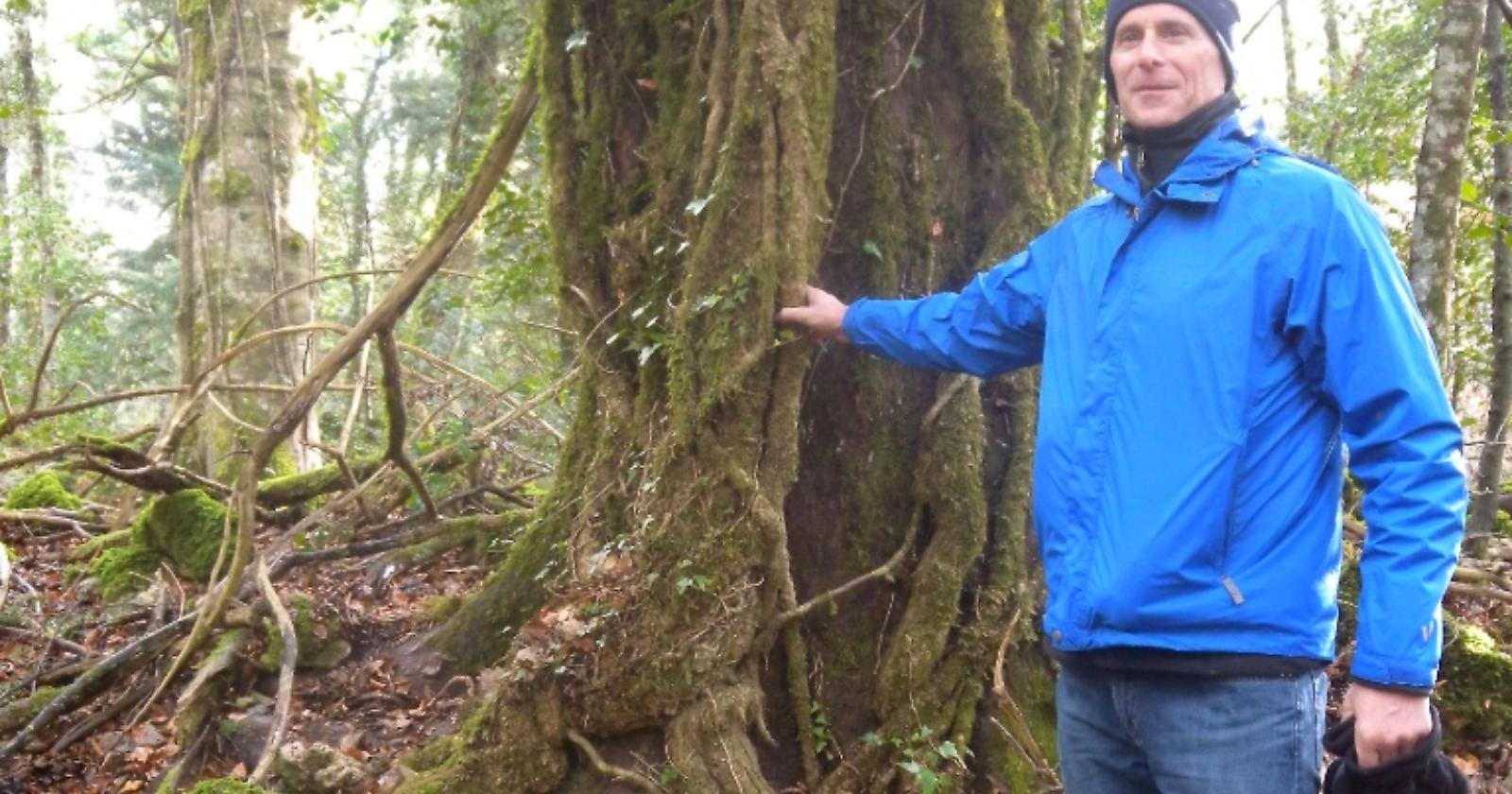 Le liane di Tarzan? Nel Parco nazionale del Gargano