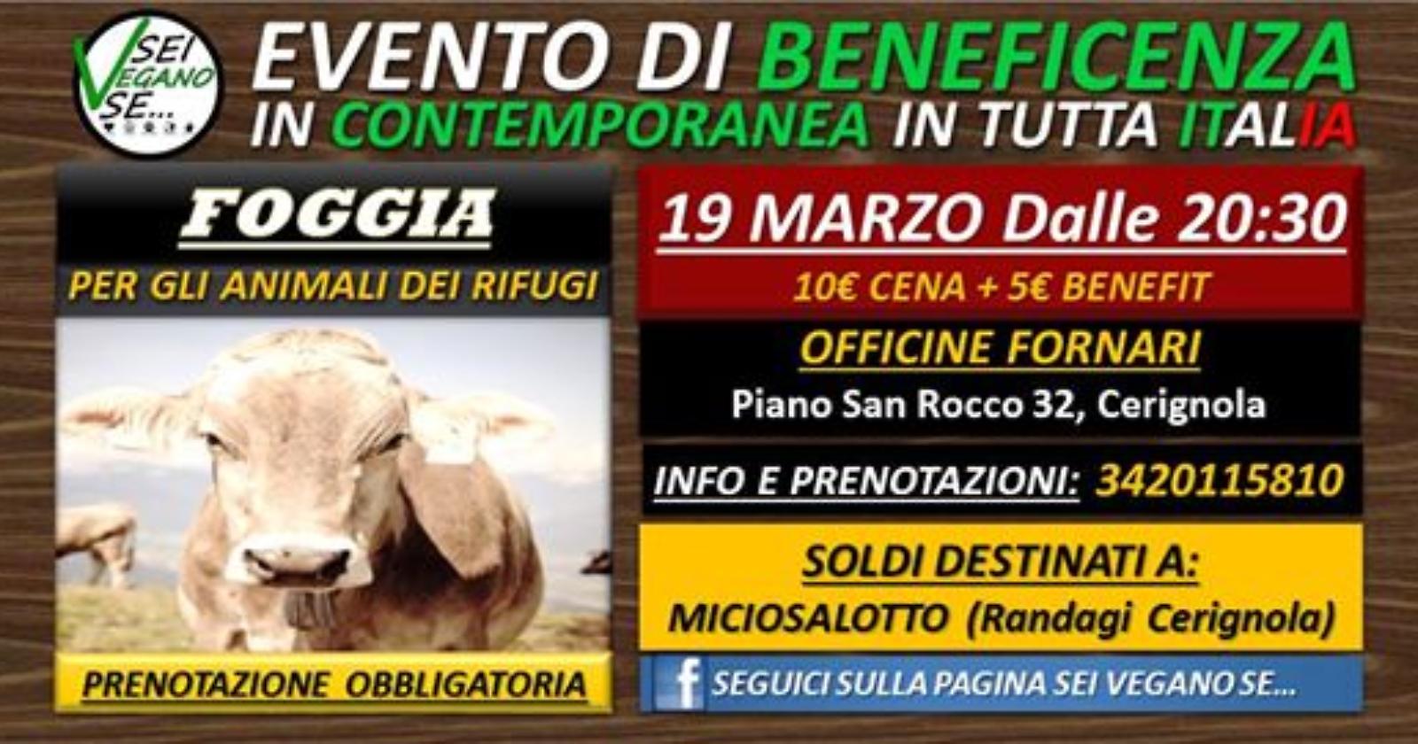 Per i randagi la cena si fa social