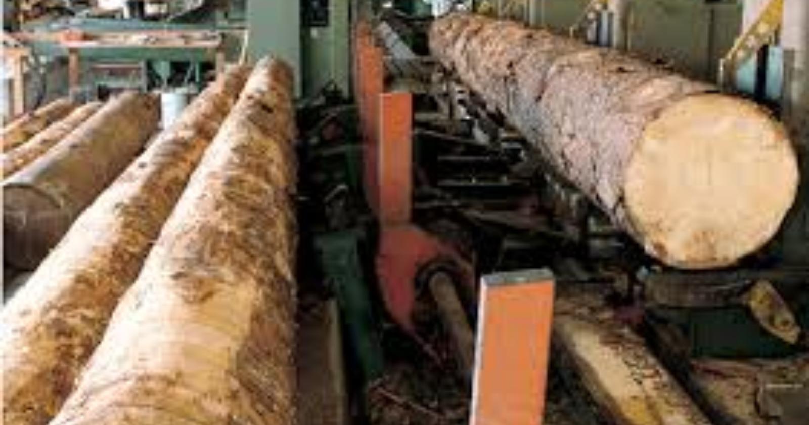 Tentavano di far fallire la Holz Building di Tito Scalo: arrestati i due amministratori