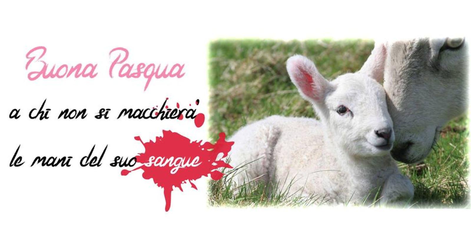 LunaCometa e Liberazione Animale in piazza perché "Nessuno tocchi l'agnello"