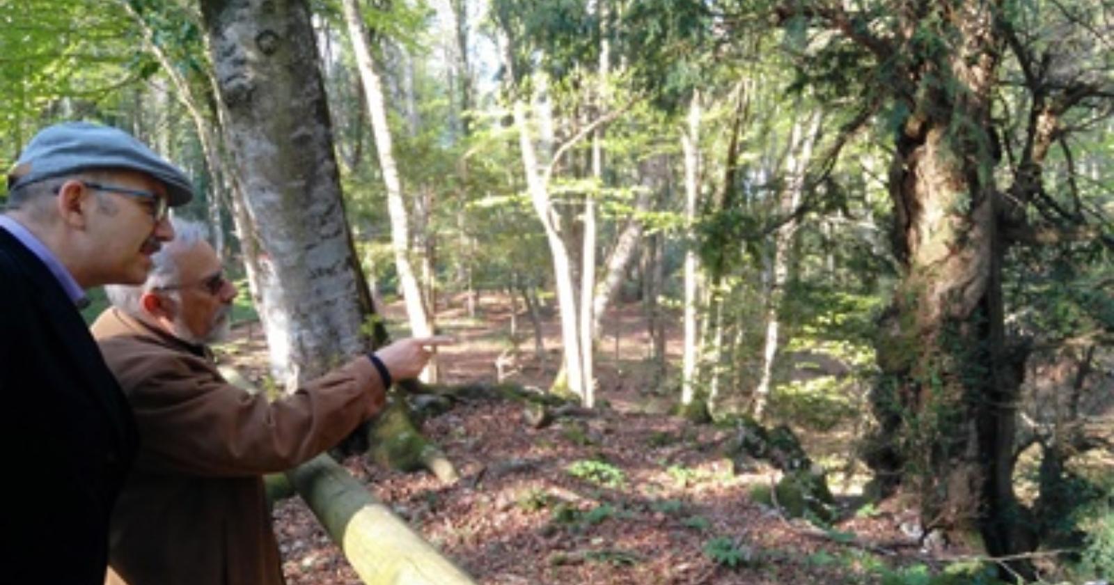 Parco Gargano