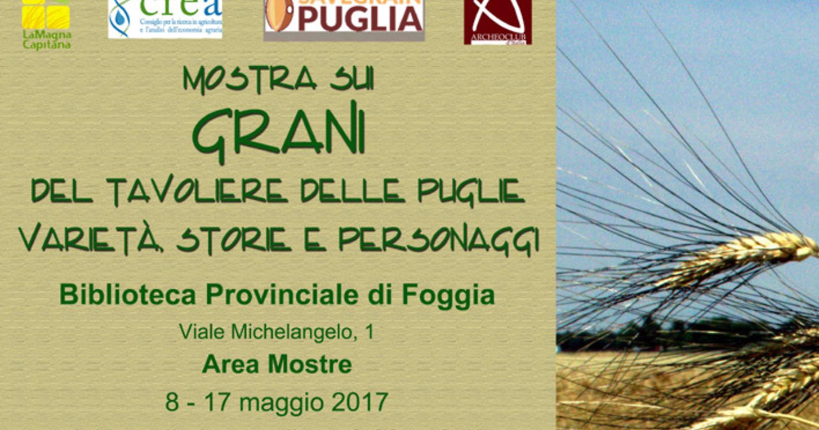 Foggia, come ti racconto varietà, storie e personaggi dei "Grani del Tavoliere delle Puglie"