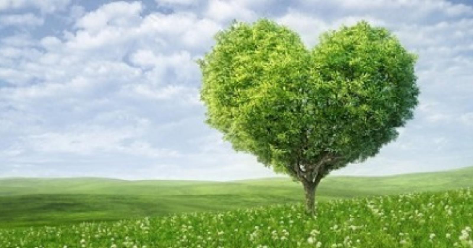 Chiaromonte punta sull'ambiente con la Giornata ecologica