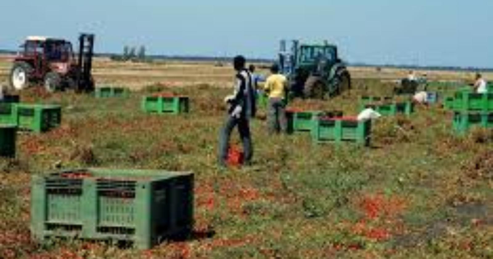 Calano i residenti,  crescono gli stranieri