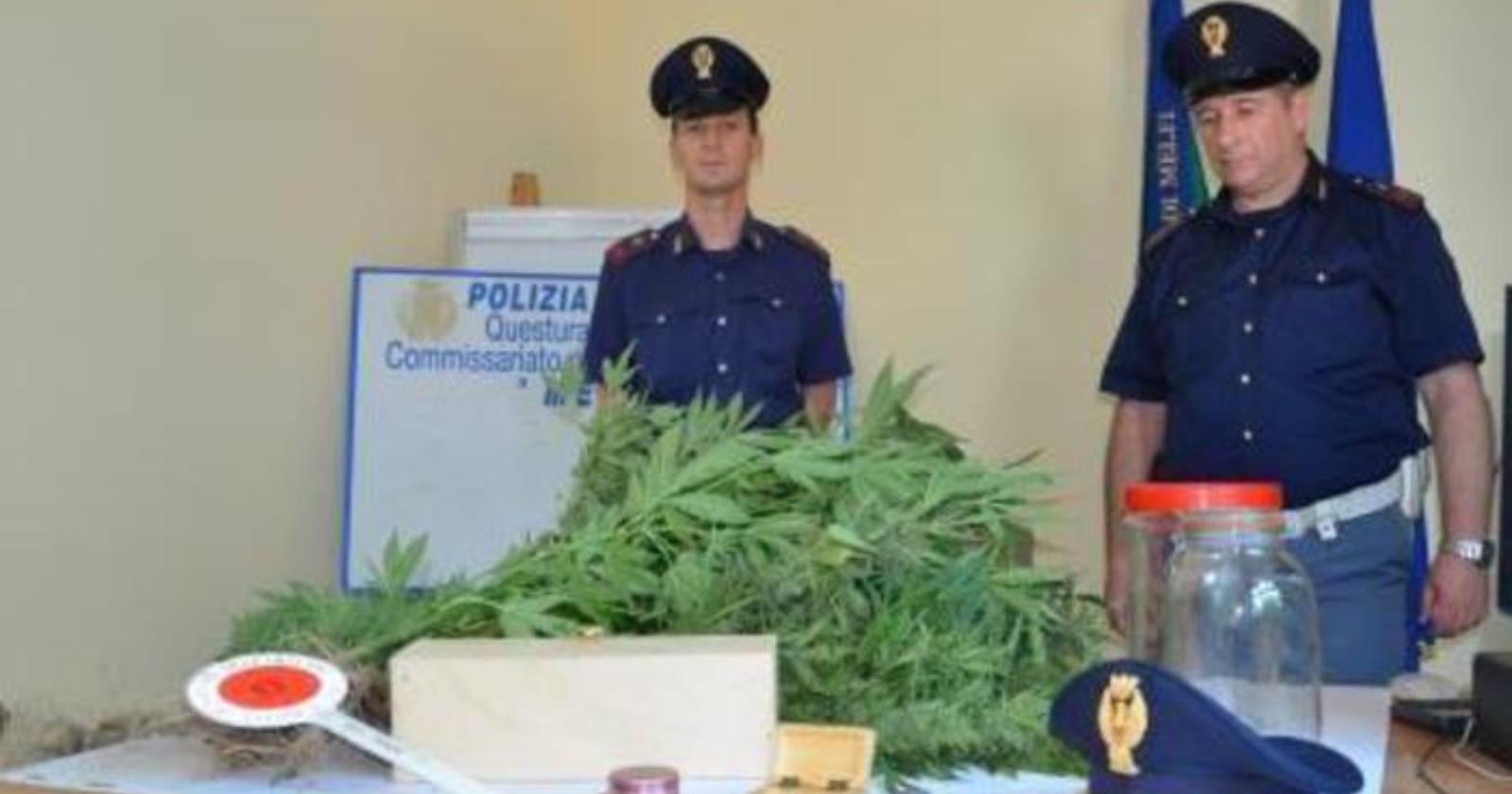 Droga, aveva creato una piantagione a Melfi: sette piante di marijuana da un metro e mezzo