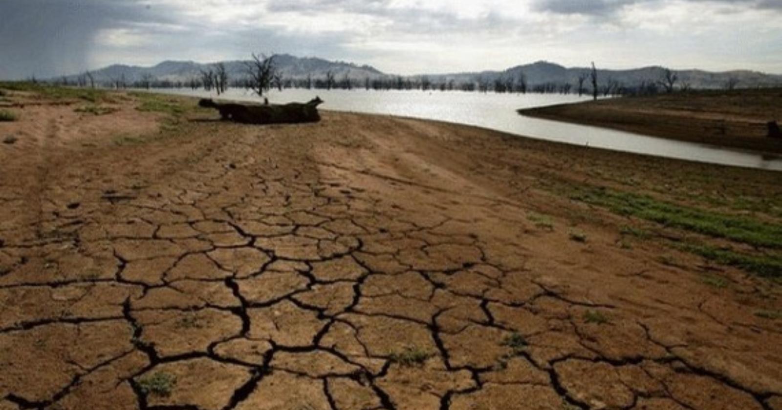 Temperature in crescita e precipitazioni in calo: ecco la Basilicata desertificata