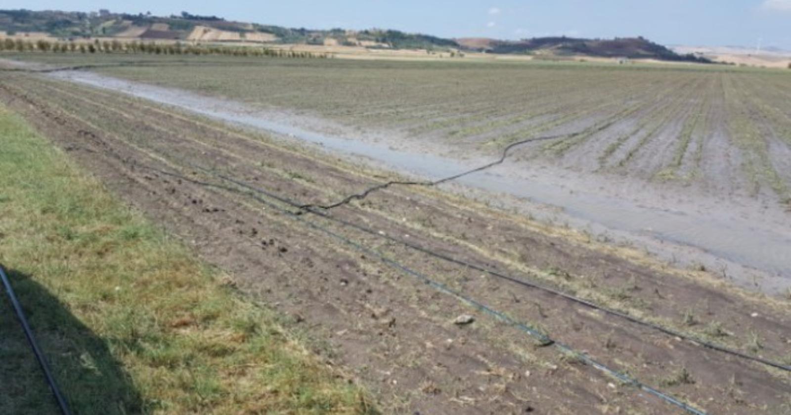 Lavello, dopo la tromba d'aria la Coldiretti chiede lo stato di calamità