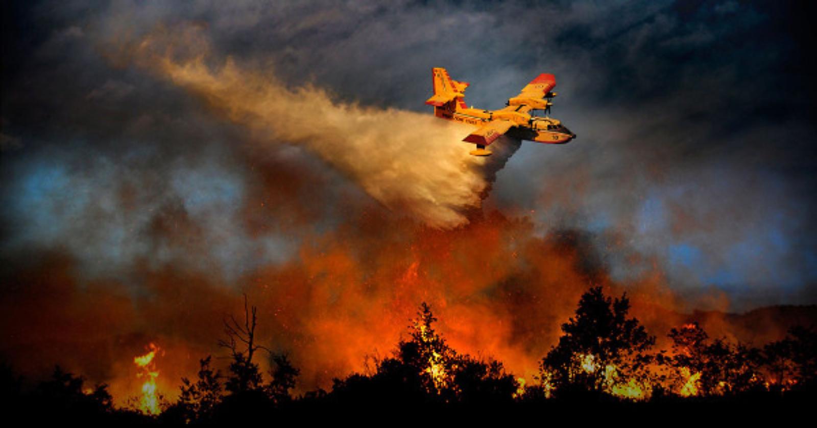 Quando i roghi estivi diventano l'inferno dell'anima