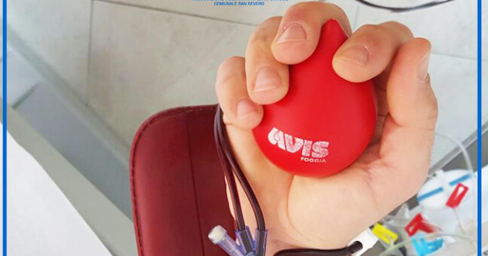 San Severo, l'appello dell'AVIS: prima di partire per le vacanze, donate il sangue!