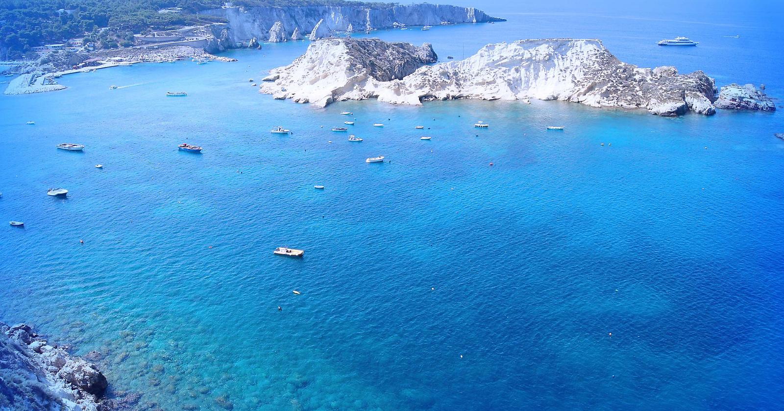 Diomede, i cavalli e le diomedee… quel sangue greco che scorre nelle nostre vene