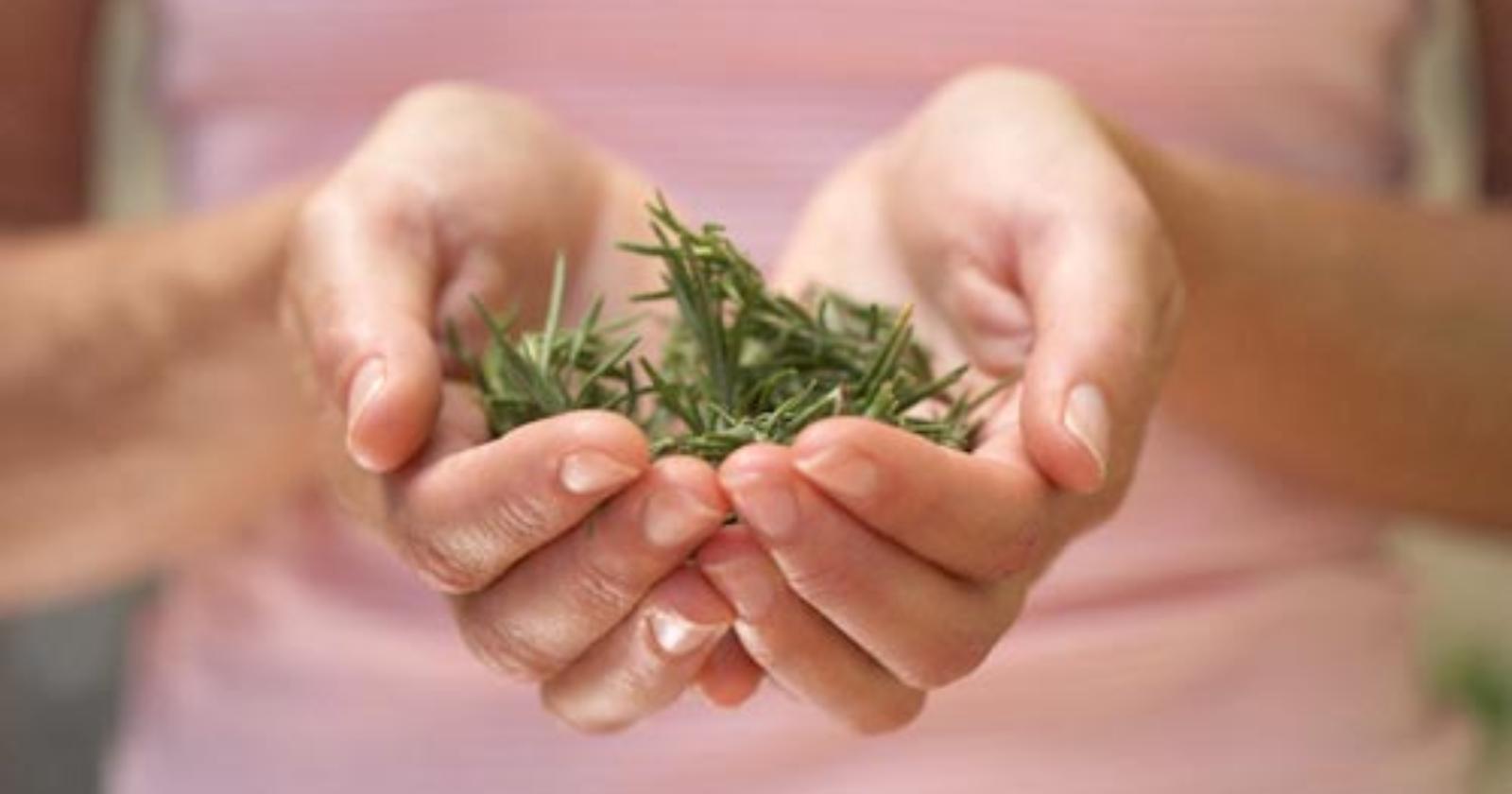 Una Salvia ti salverà