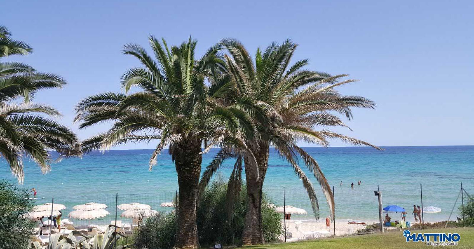 Quel mare di Sardegna che abbraccia al riparo delle onde bastarde della vita