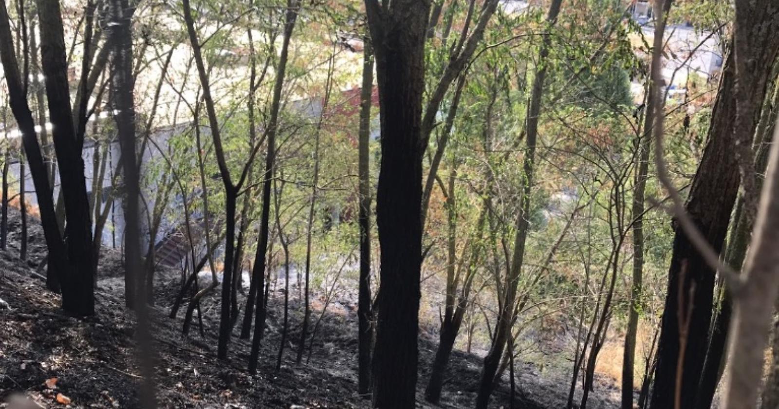 Melfi, pericoloso incendio aggredisce la "Bicocca"