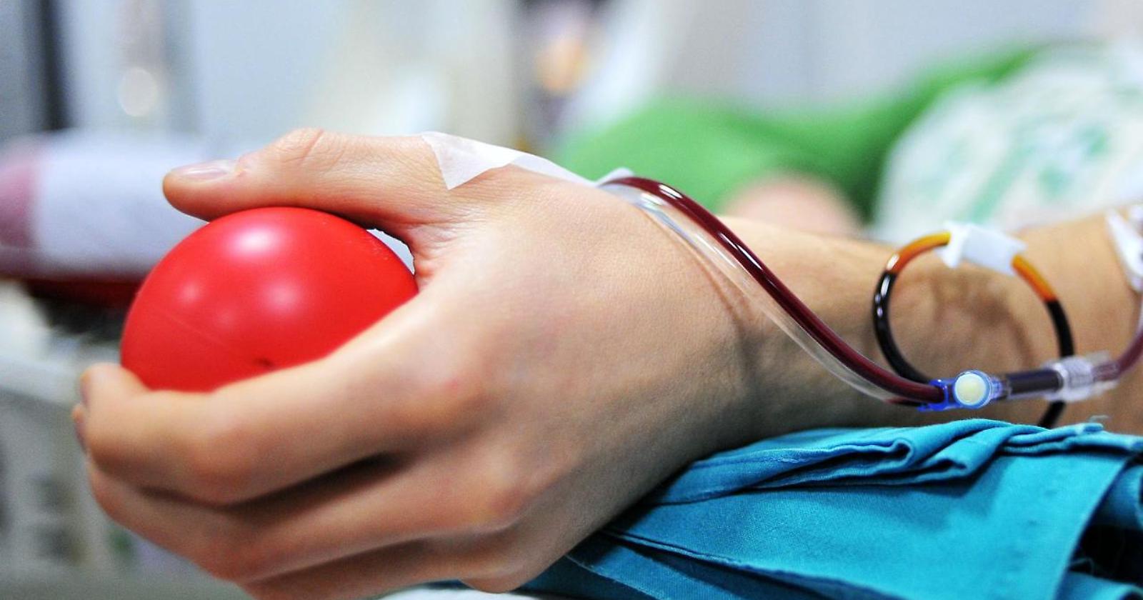 Donatori di sangue in ferie: allarme per le carenze in Basilicata