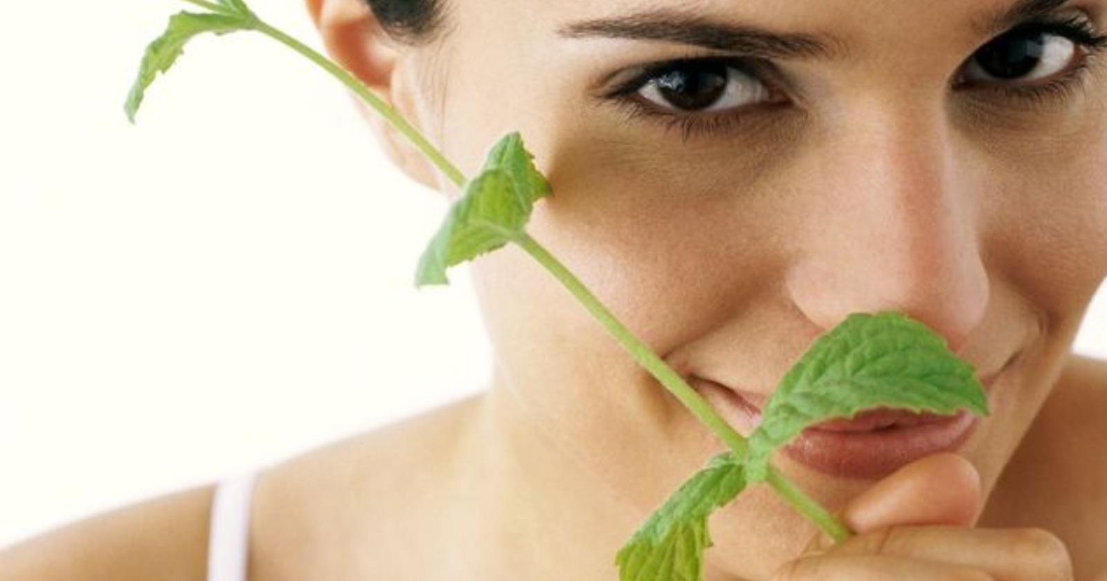 La Menta non mente e mette pure allegria 