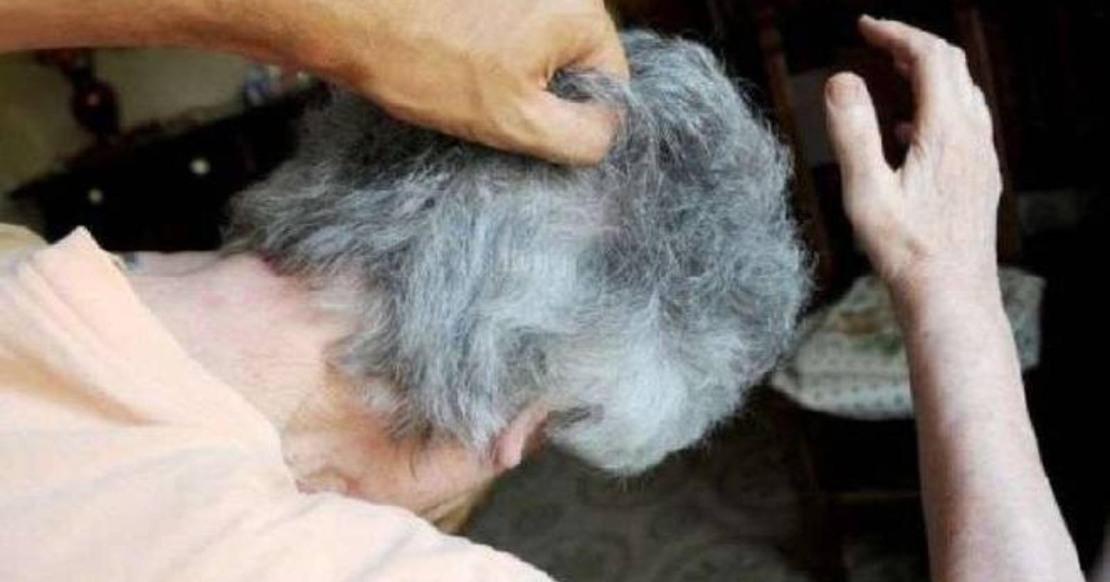 San Severo, calci e pugni contro la nonna invalida: arrestato 20enne