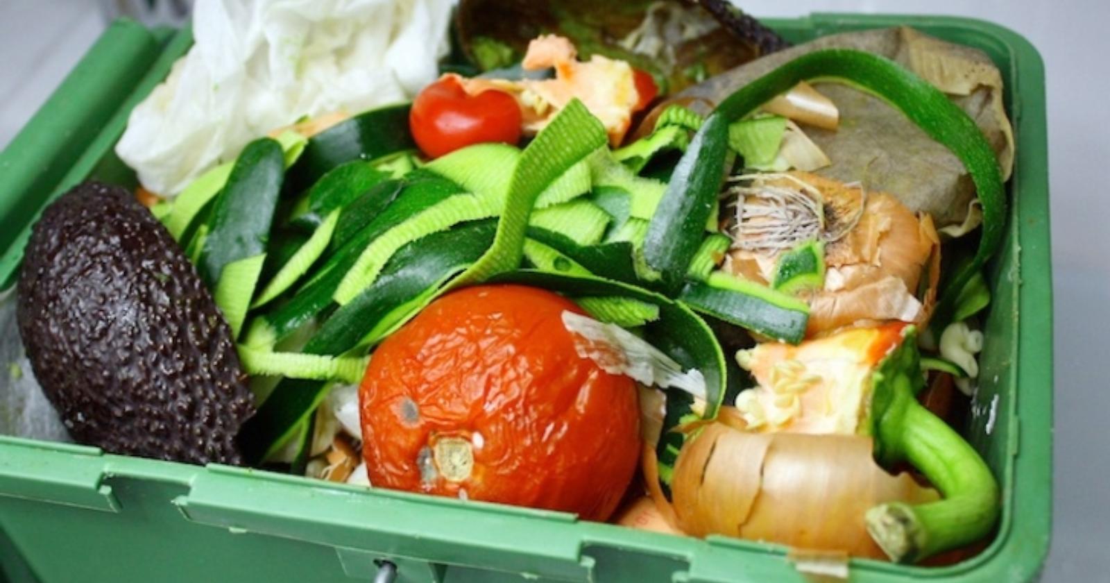 Cibo sprecato, l'impegno dei tecnologi alimentari lucani