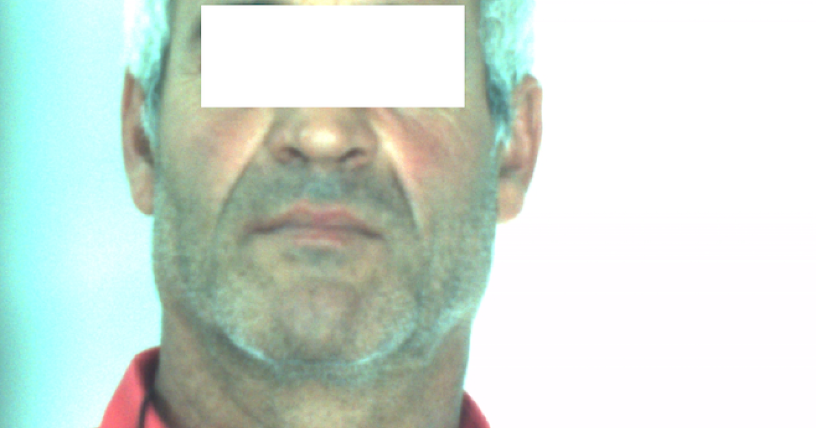 Una pistola in casa dell'amico del boss "Cintaridd": in manette un peschiciano