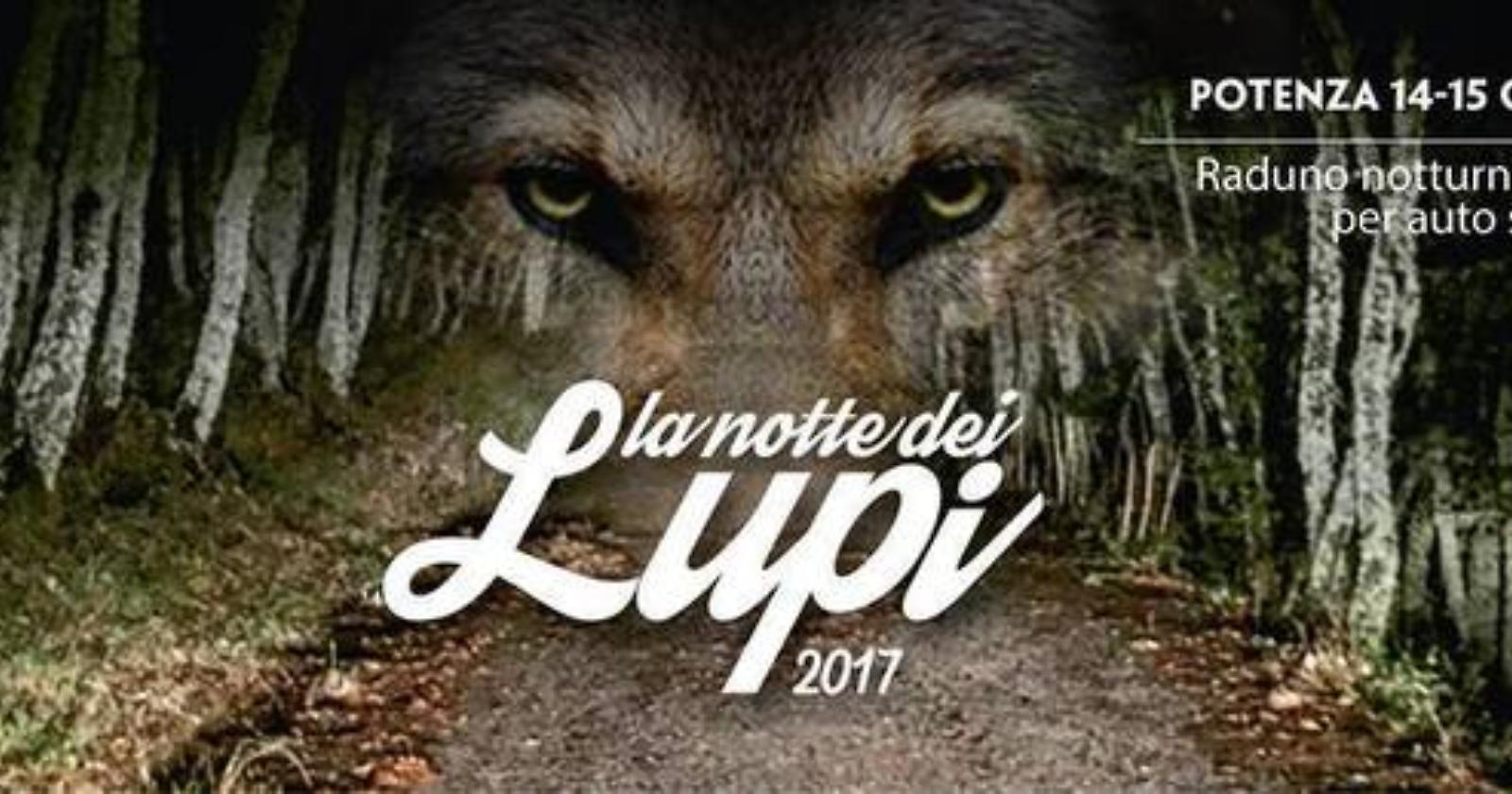 Potenza-Tricarico, una notte da lupi 