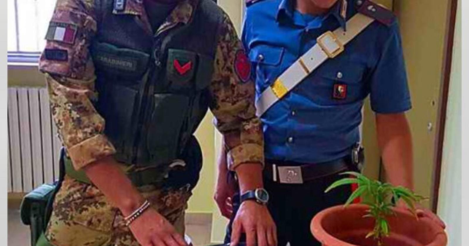 Vieste, a casa con un chilo di ''Maria": arrestato 24enne