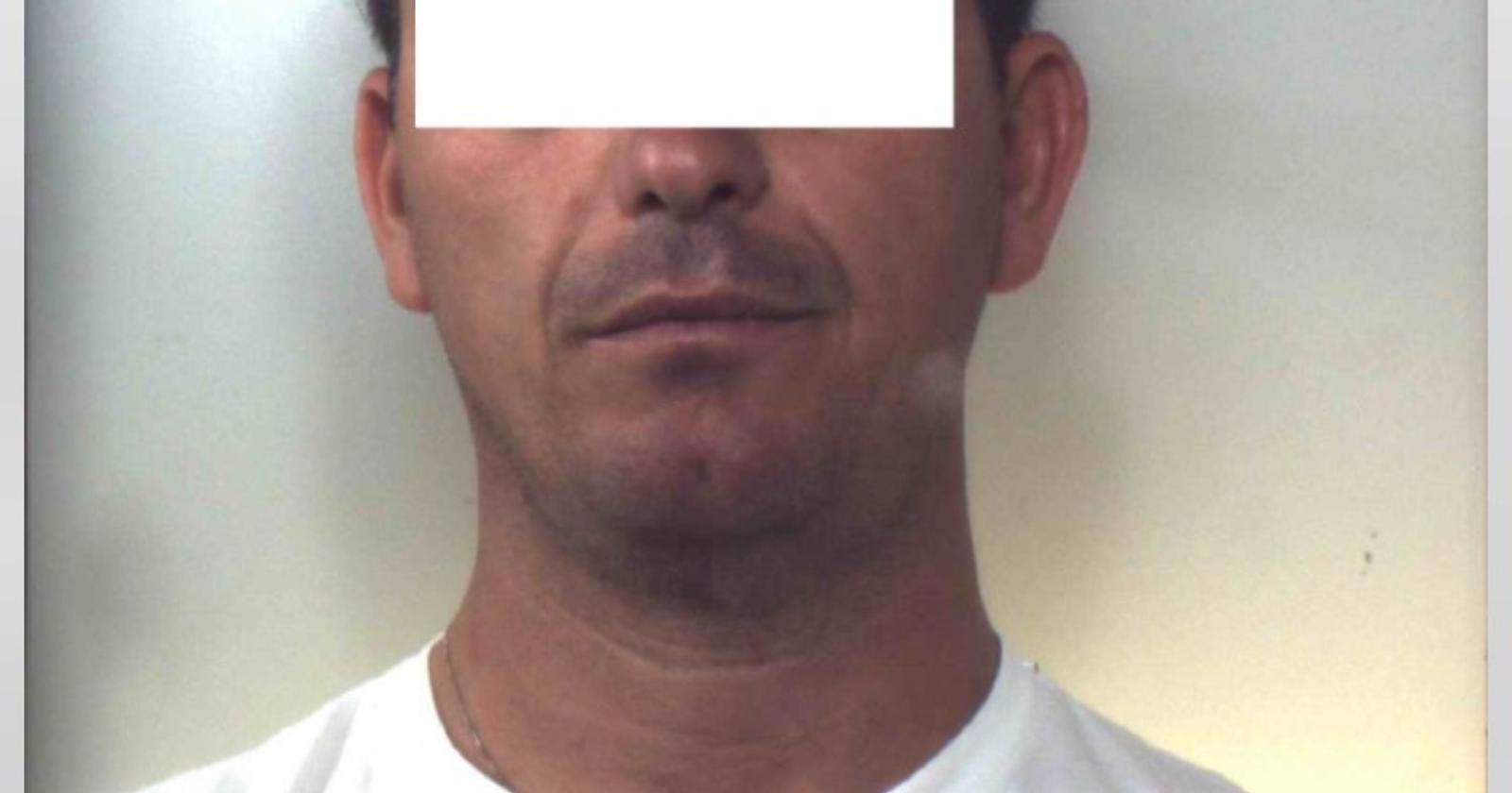 Cerignola, nasconde motori rubati sotto cumuli di legna: un arresto