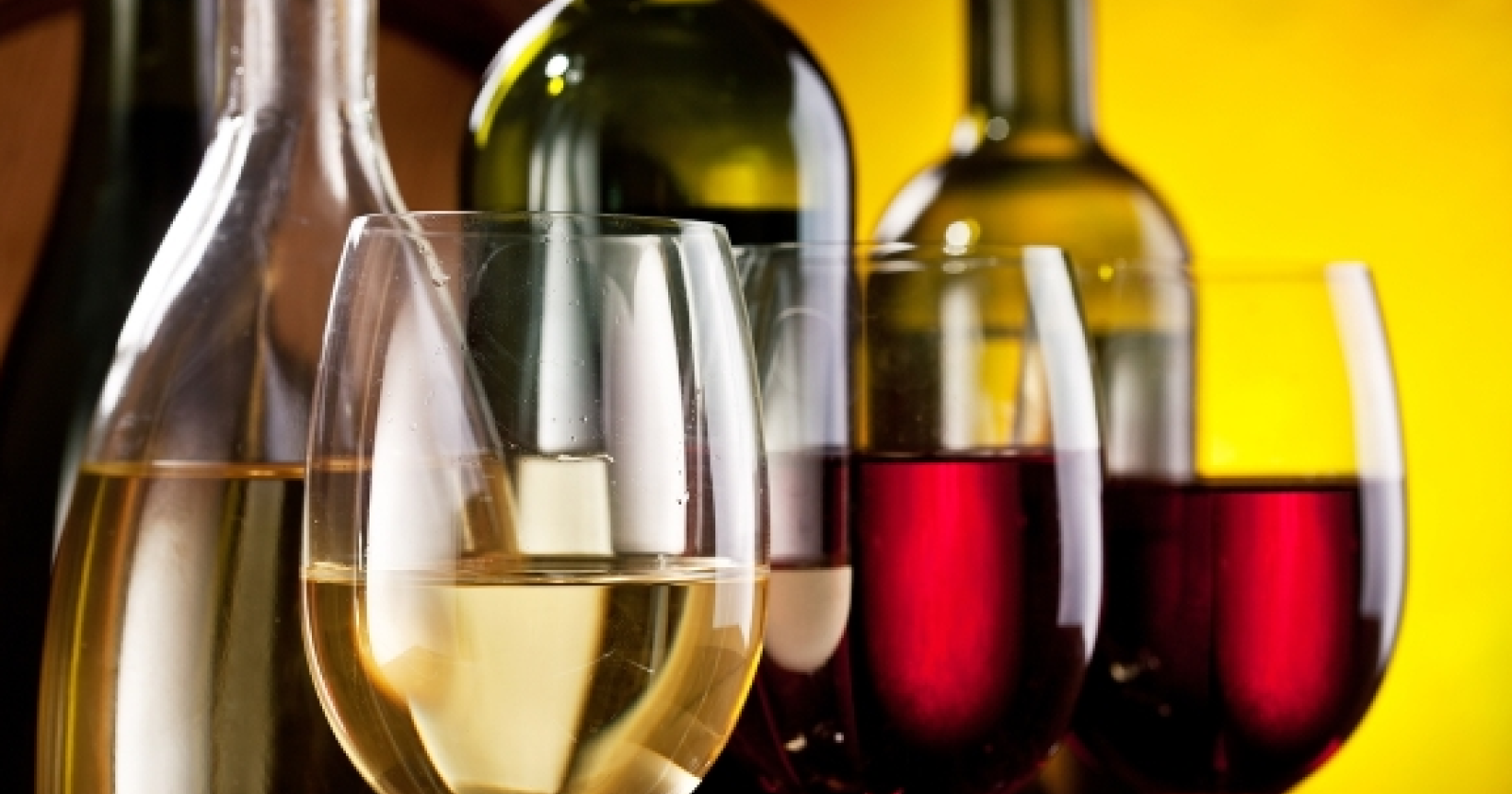 I vini lucani andranno all'estero: pronti i finanziamenti