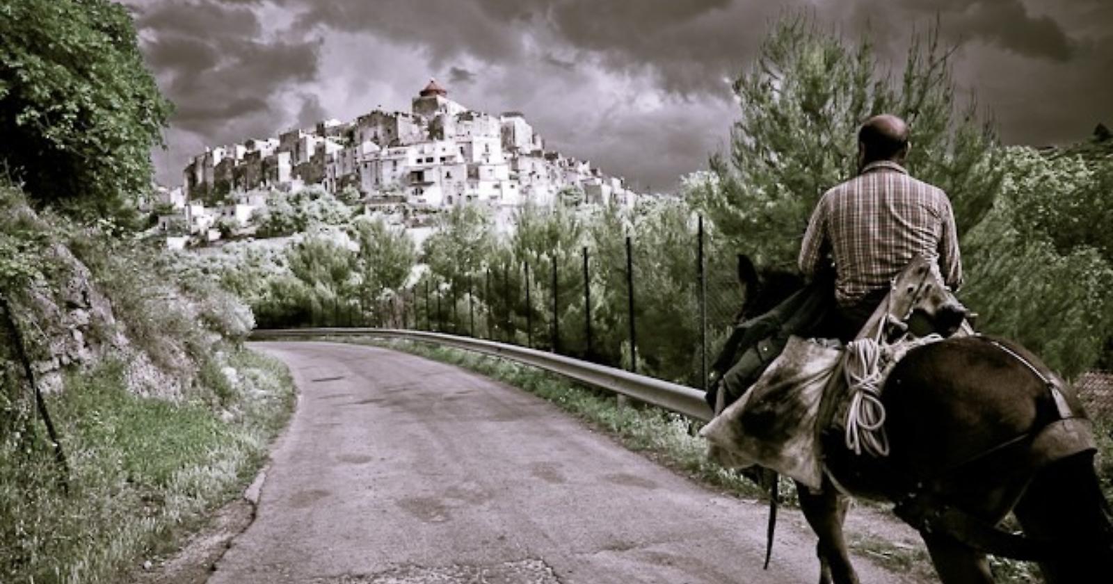«Vieni a raccogliere le olive, soggiorni gratis e ti paghiamo in olio»