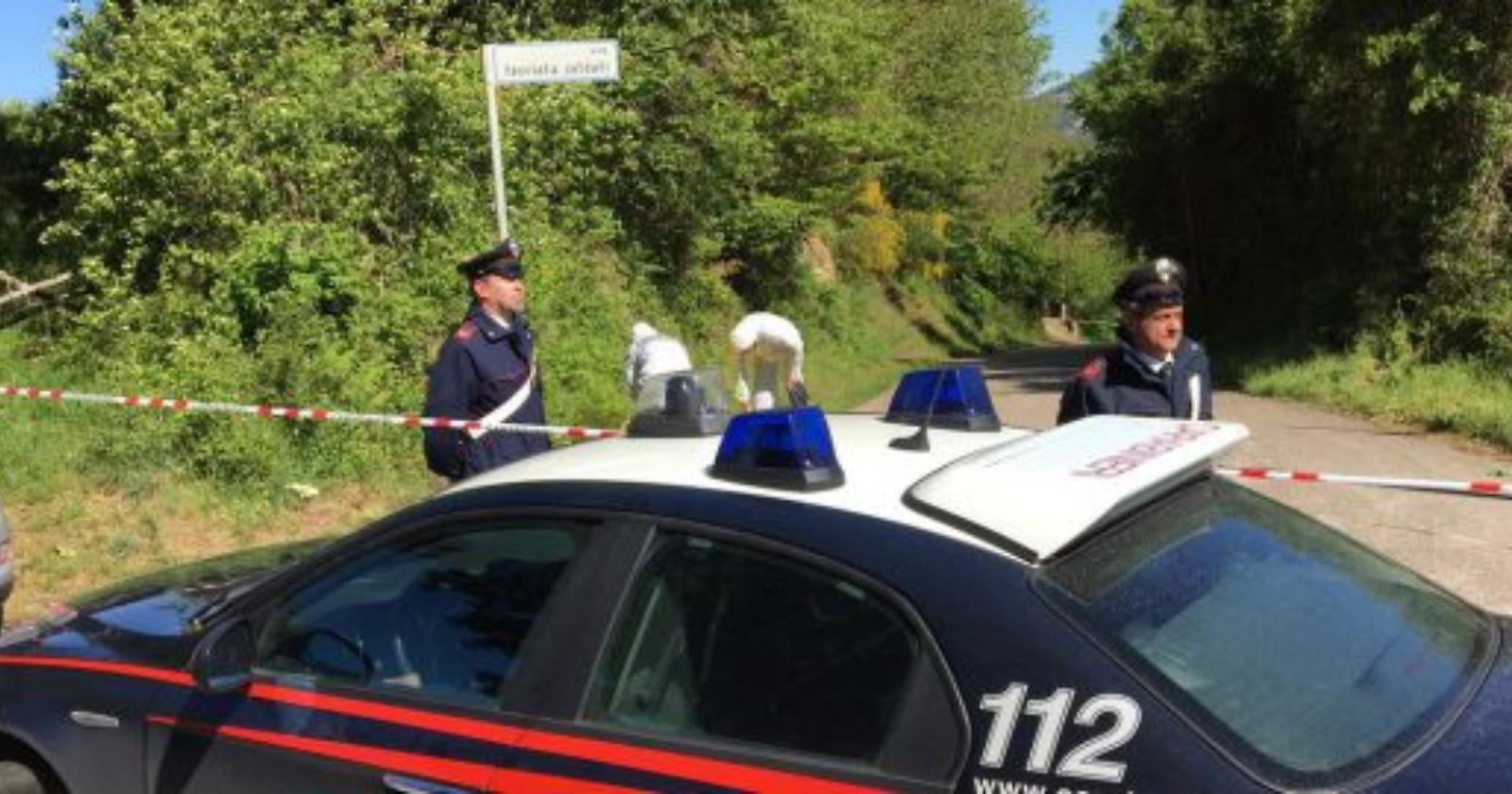 Immagine dal web 