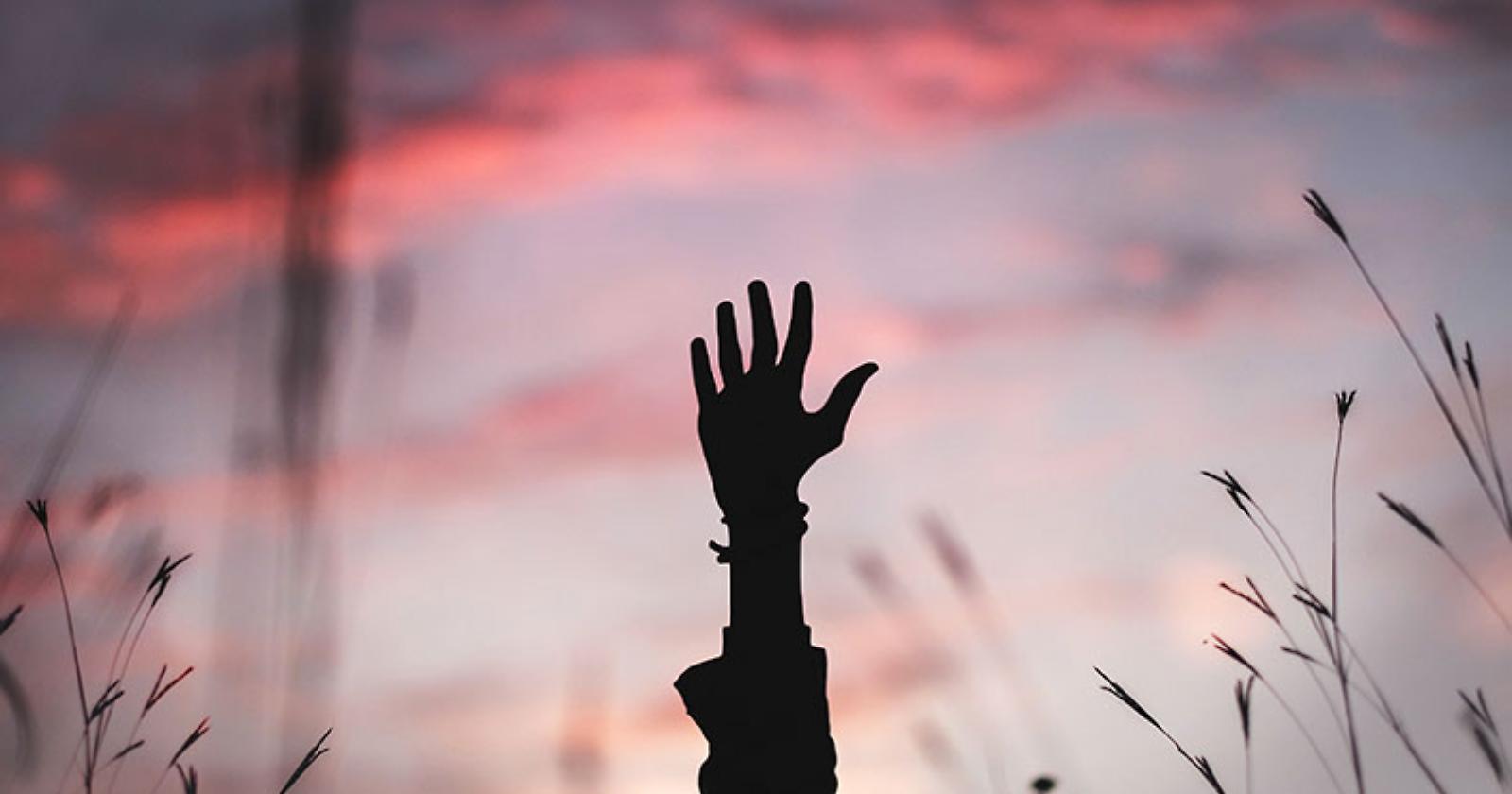 “La violenza è l’ultimo rifugio degli incapaci”