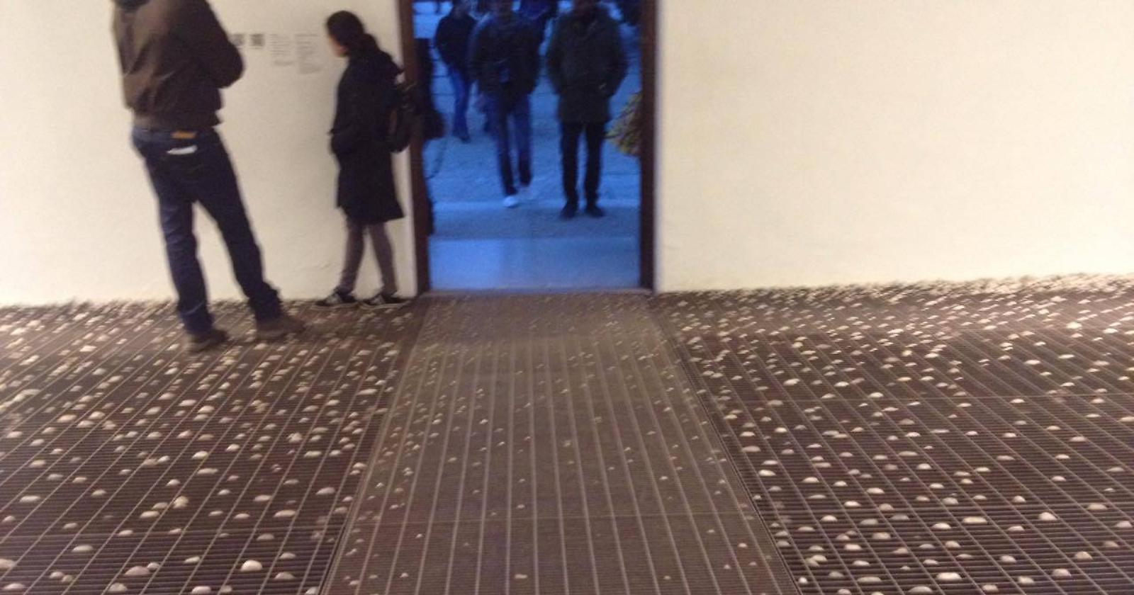 La Biennale dei grandi numeri
