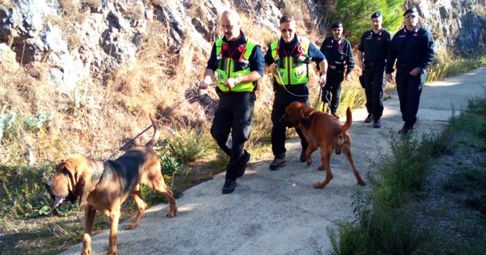 Allarme a Forenza: è scomparso l'83enne Salvatore Albano