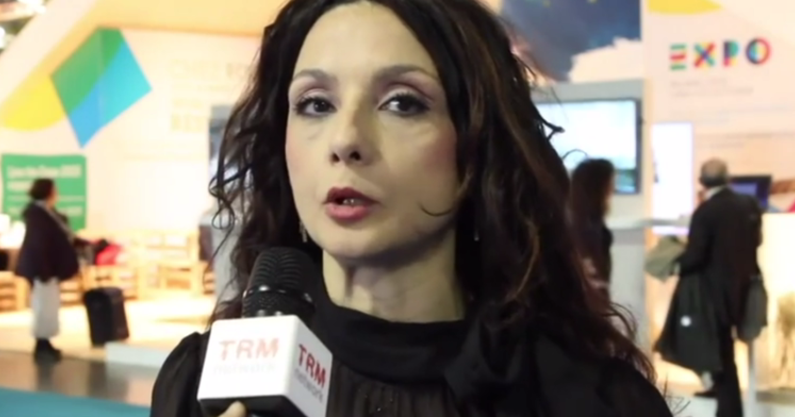 Patrizia Minardi illustra alla Regione il suo Piano per lo spettacolo