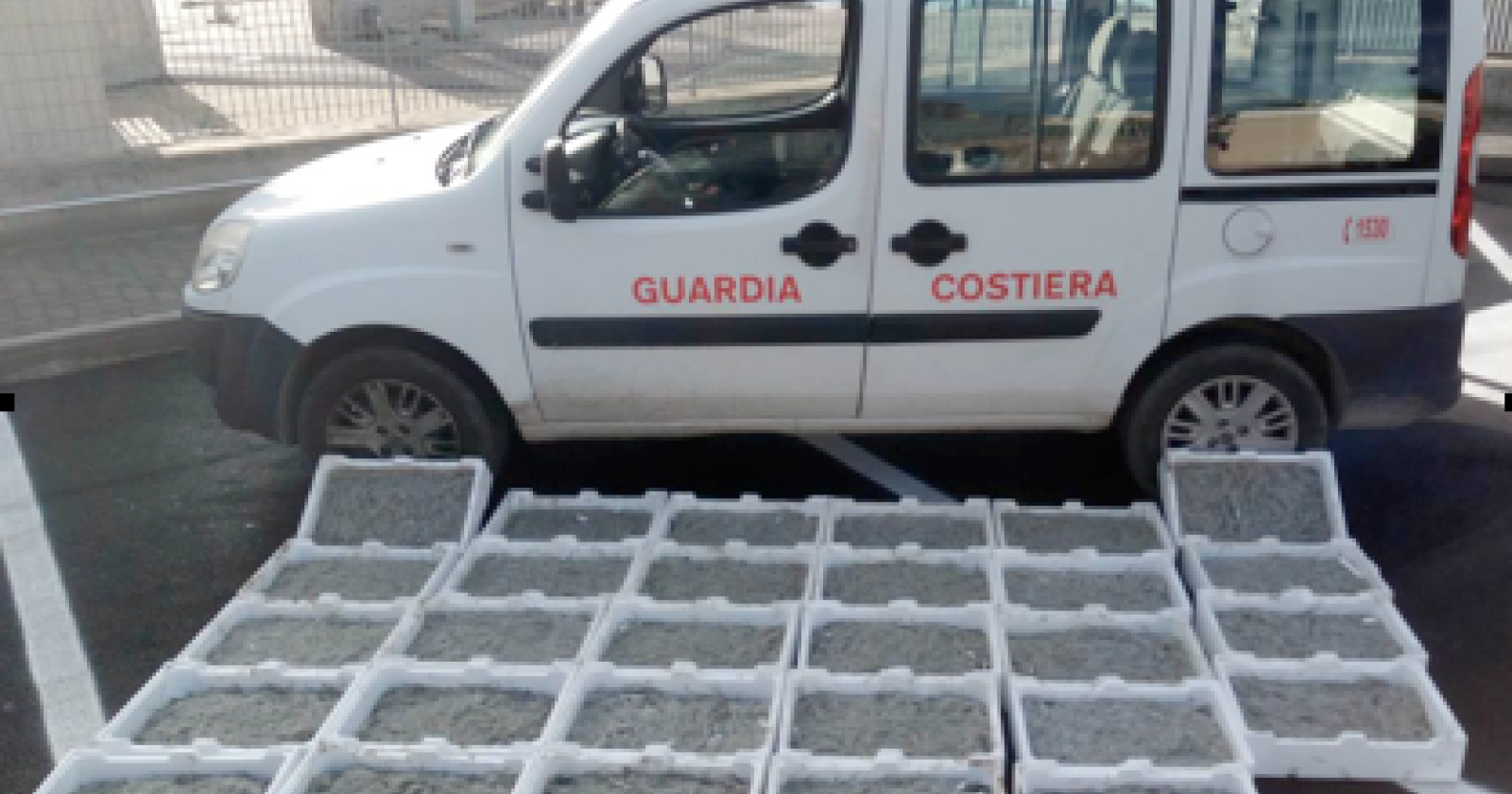Maxi-sequestro di bianchetto della Guardia Costiera: sottratti al mercato illegale 200 chilogrammi 