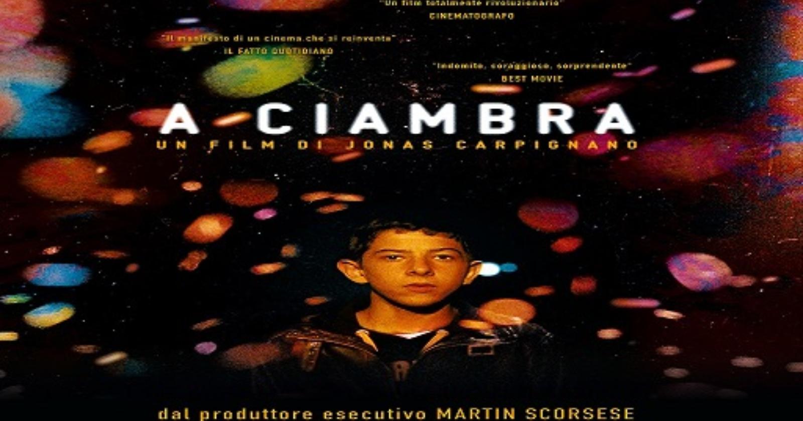 Lucania Film Commission, 7 nomination per “A Ciambra” ai David di Donatello